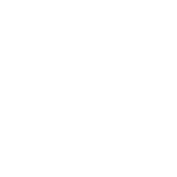 cropped-Logo-SA-blanc_cut.png